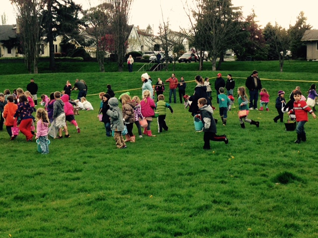 large group of kids hunting Easter eggs in grass at the Anacortes Easter Egg Hunt