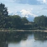 Skagit-Wildlife-walk Wiley-Slough mount baker