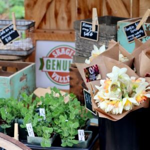 Flowers and plant starts at Farmstand Fresh