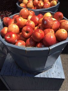 red apples in a grey bucket