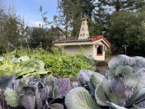 The winter garden at The Old Alcohol Plant