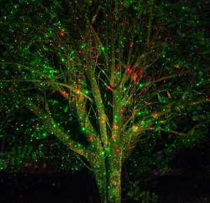 A deciduous tree with holographic lights on it in Anacortes