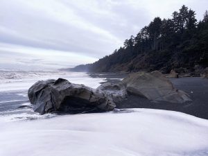 geteway washington coast Kalaloch Lodge Beach 3