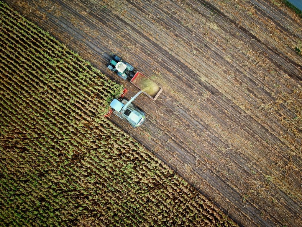 aerial view of harvester machine harvesting a crop