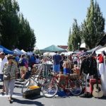 skagit summer events shipwreck festival