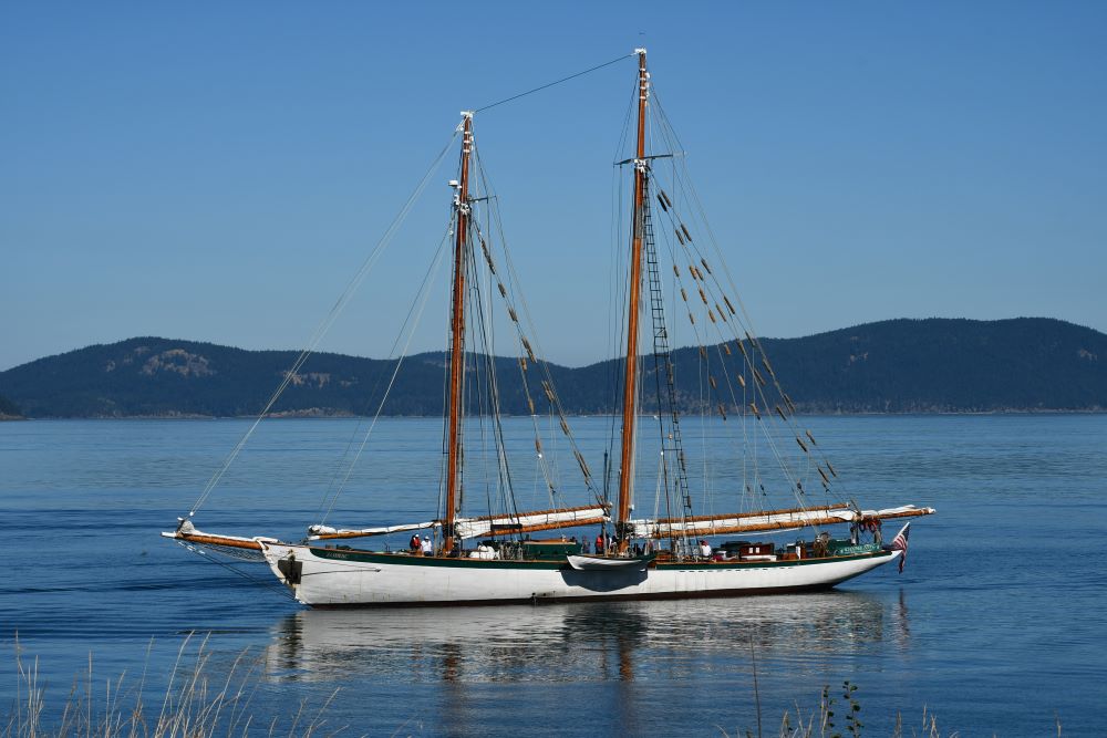 Zodiac Schooner out on the water