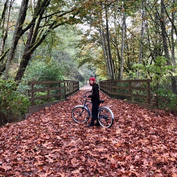 pathway in Sedro-Woolley with leaves all over it and bare trees lining it.