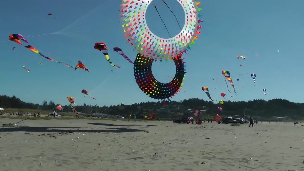 a bunch of kites flying on a Grays Harbor Beach