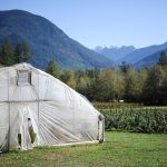 rodale institute cascadian farm organic farming