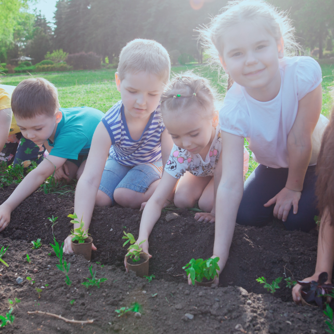 four kids planting plants in the dirt