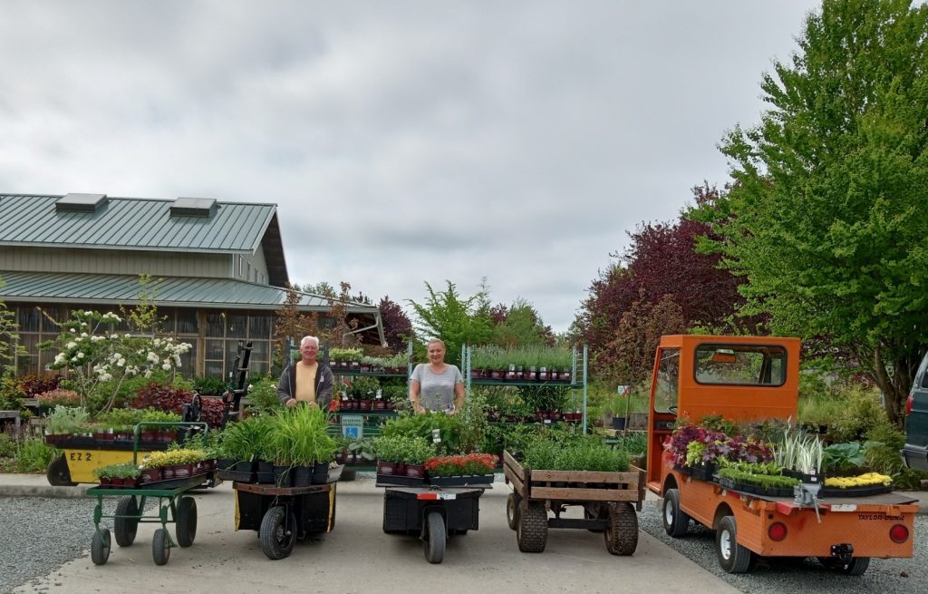 a bunch of plants on carts and on the ground at Azusa Garden Centre