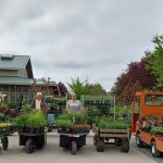 garden stores plant nurseries skagit azusa garden