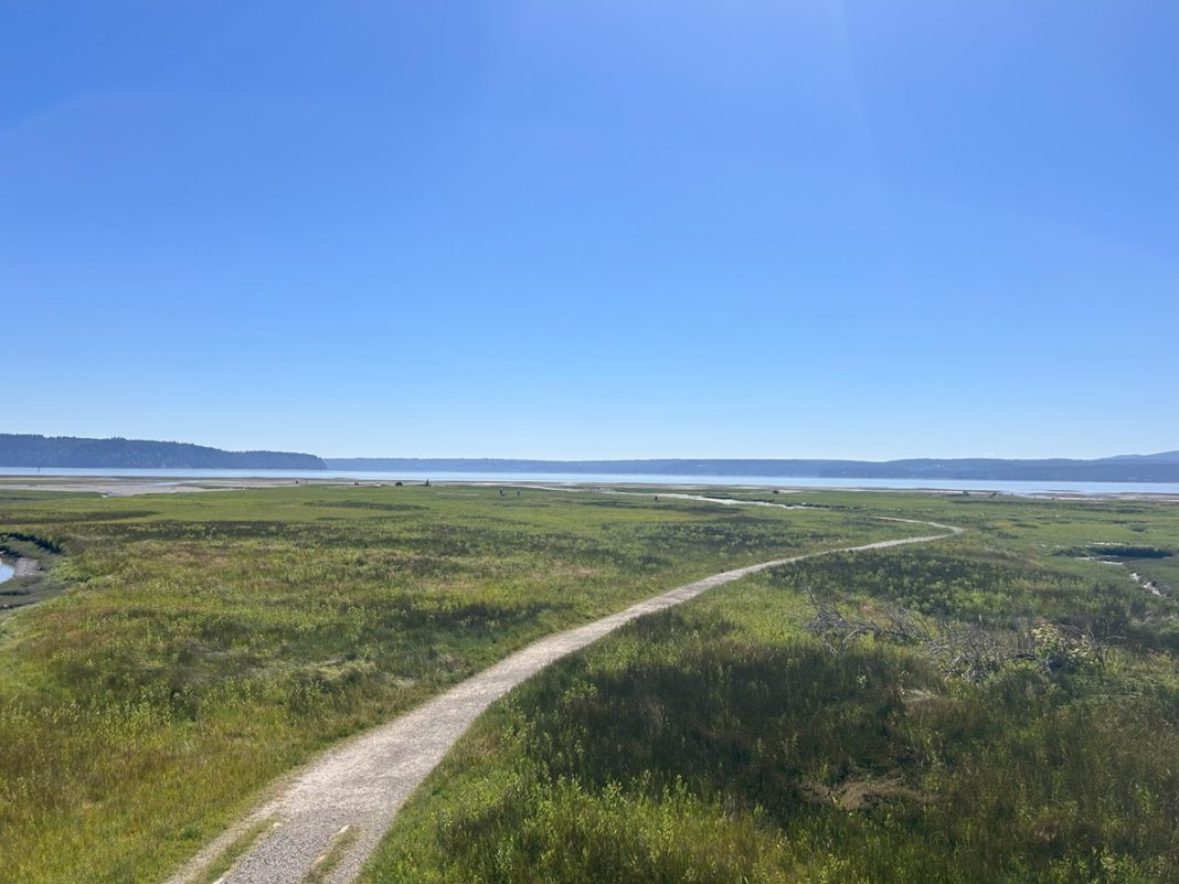 view of the Sound at Dosewallips State Park in Brinnon