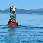 Salish Sea School-Sea-Lions