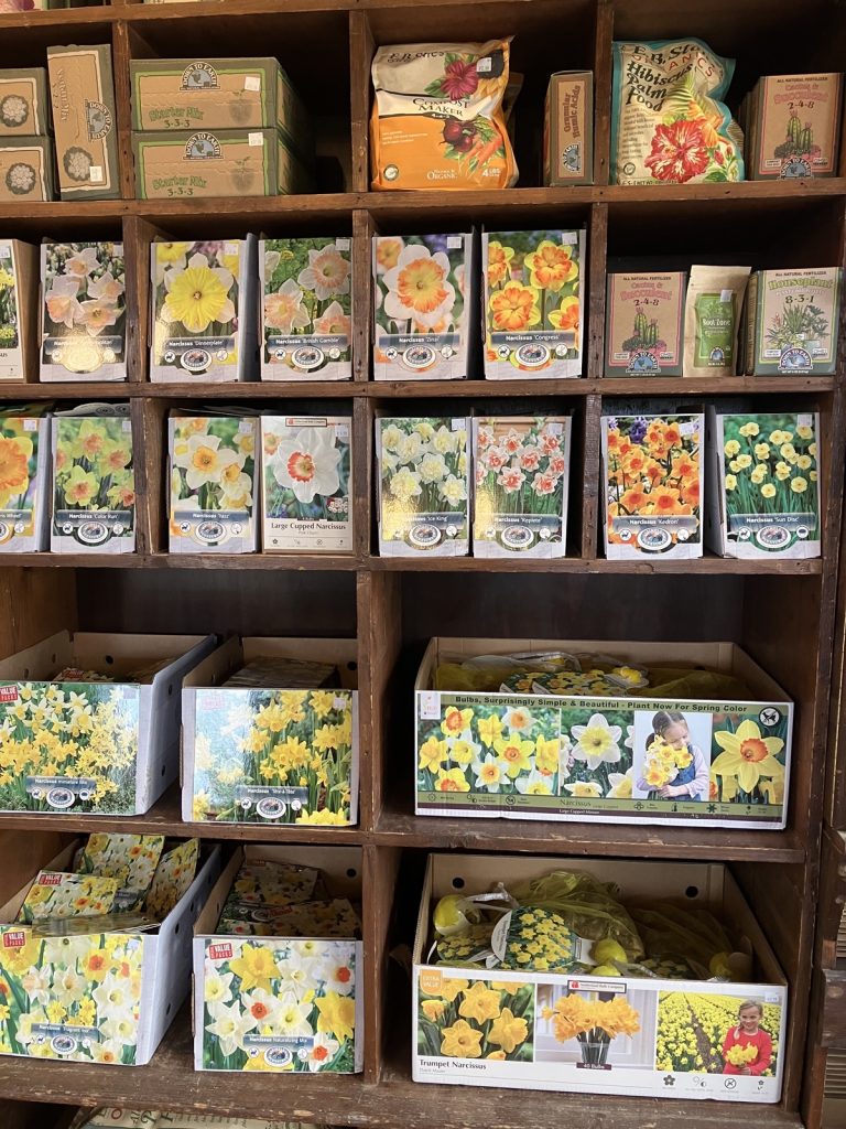 shelves full of spring bulbs