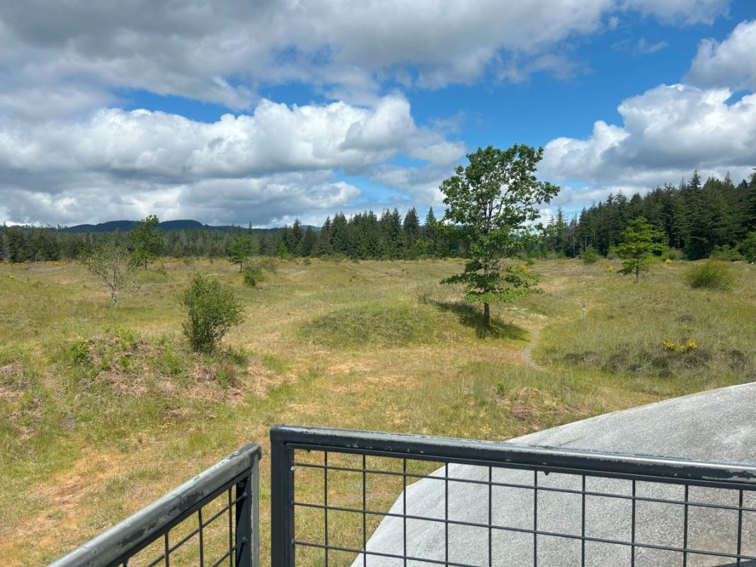 view of the mima mounds and a paved walkway from an observation deck with a metal mesh railing