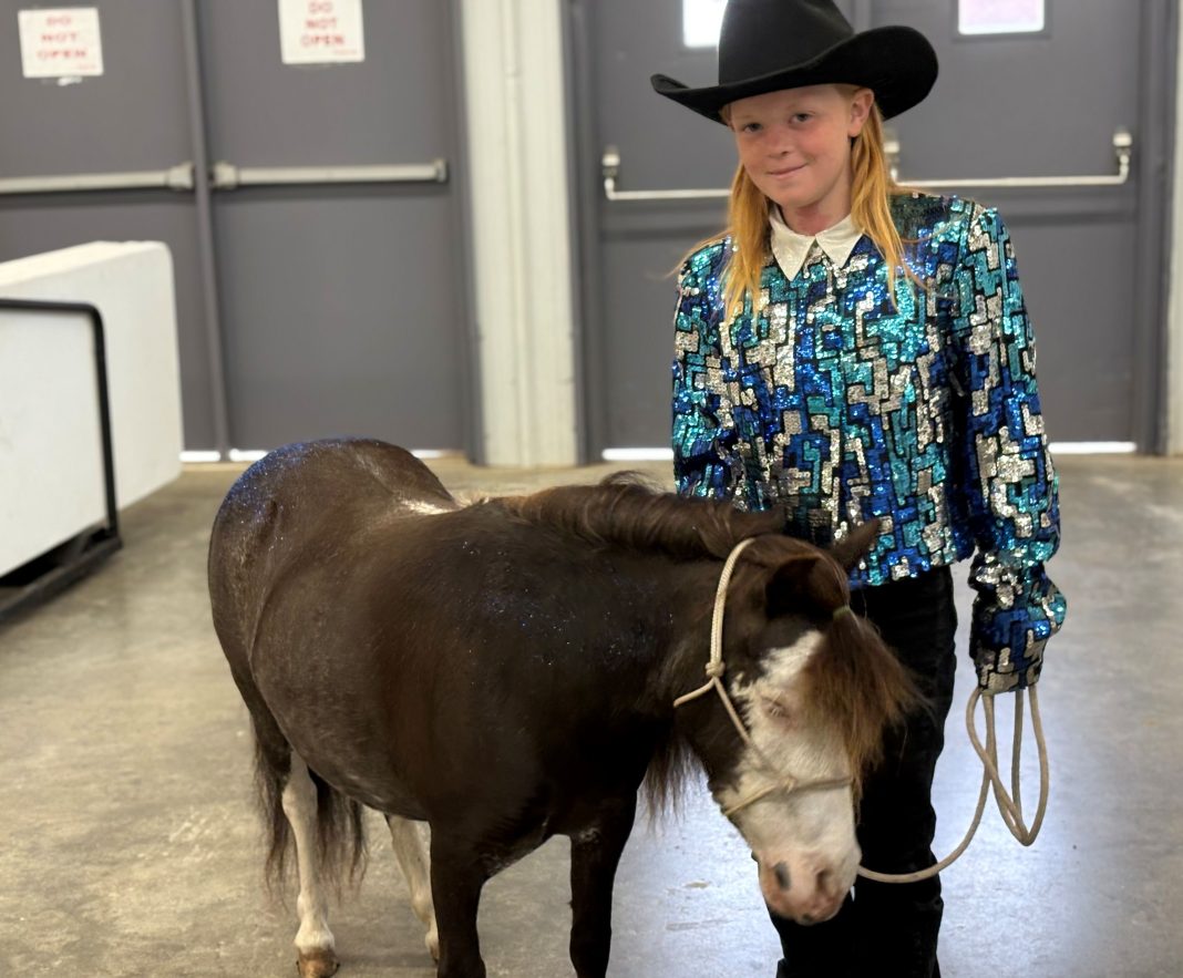 A little girl in a cowboy hat and sequin blue, teal and silver western show shirt standing with a black miniature horse with a white face and white legs at the Grays Harbor County Fairgrounds