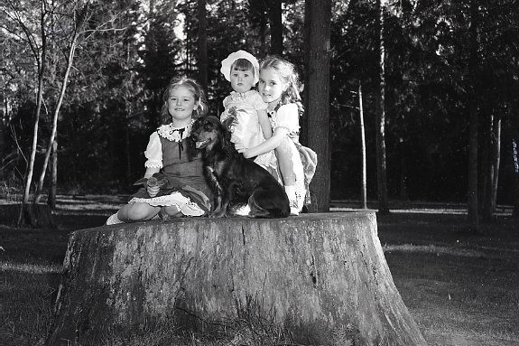 black and white photo of three little girls sitting on a stump with a dog